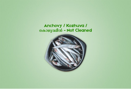 Anchovy  /  Kozhuva  /  കൊഴുവമീൻ (500gm) - Not Cleaned